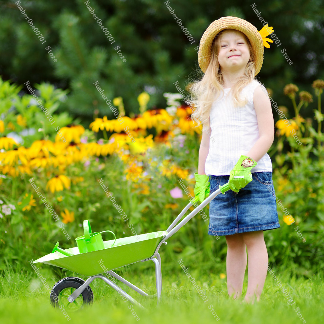 Kids Outdoor Wheelbarrow, Gree - огляд і ціна Play Kids Outdoor